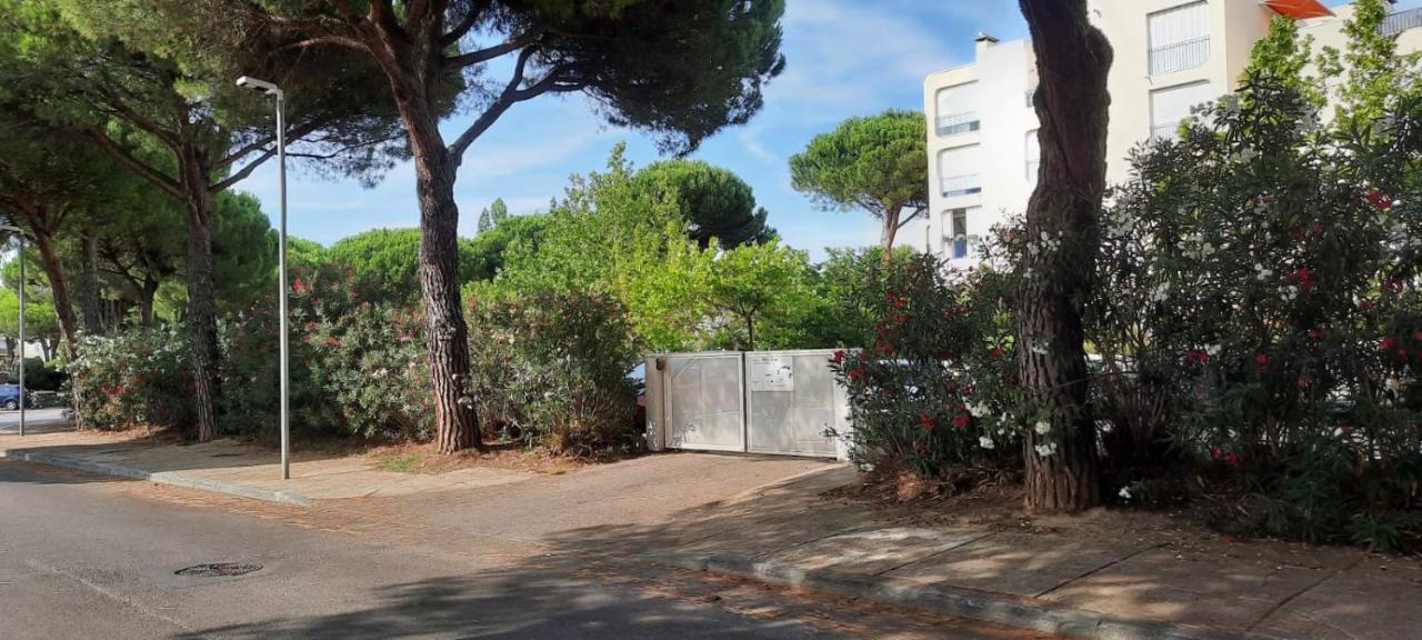 T 2 Mottland 300 M Plage La Grande Motte Exteriér fotografie